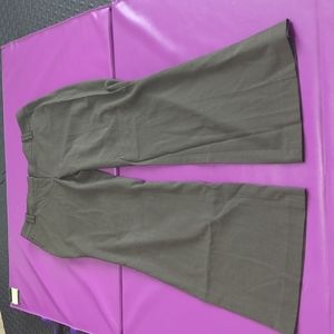 Ann Taylor loft pants